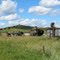 Dinosaurs on the Prairie