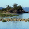 South End of Clam Island off the North Spit - Coos Bay (suz)
