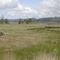 Coos Bay Tidal Marsh and Wetland (looking N-NW to the Marshfield Channel)