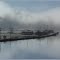 Catching Slough - Misty Winter Morning (suz)
