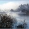 Fog on Isthmus Slough on a Winter Morning (suz)