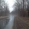 Into the mist...