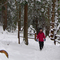 Noble Woods Park in Winter