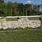 Back side.