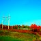 Power Lines