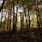 Timm's Hill County Park