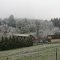 Morning Frost
