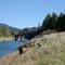 Railroad Bridge at Hampton Boatramp