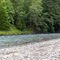 2011, Willamette River - National Forest, Eugene, OR