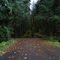 Black Forest Campground