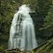 Bridge Creek Falls upper tier