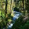 Tire Creek