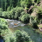 North Fork Middle Fork Willamette River