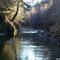 Elk River Run