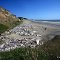 Cape Blanco South Beach