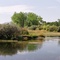 Bighorn River Rise