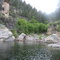 A Bay in Yellowtail