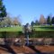 Willamette National Cemetary - Blue Star Highway