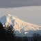 View From Home