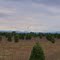 Mount Hood outside of Portland, Oregon