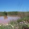 Cattle Pond