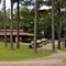 Roland Cooper State Park near Camden, AL