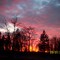 quad pics 042