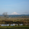 Mt. Hood Landscape