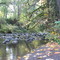 Metzler Park autumn