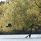 Herron Tree