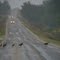 Turkey Trot