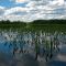 Lake Arrowhead, Waterboro/Limerick, Maine