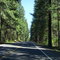 Majestic Oregon