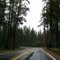HIGHWAY 62