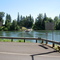 Canby Ferry