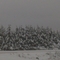 White Christmas, Oregon