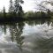 Reflection in the Tualatin River, West Linn, Oregon, USA