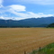Bonners Ferry area