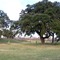 Reason's Park on the Colorado River in Columbus, Texas