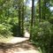 Trail Wailking