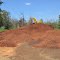 Priester's Pecans - Mountain of Pecan Shells