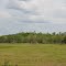 Rural Butler County