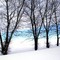 Davenport, WA - Winter on Cline Rd.