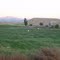 Field in Cleveland UT