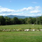 Looking Into Pemi Valley