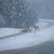 Passing a plow
