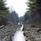 Rail road or roller coaster?