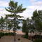 View from Huron House B&B