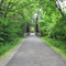 Old RR Bridge; Kokosing Gap Trail