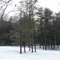 Rest Area 33